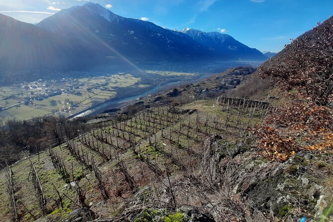 Private Wine Tour: Terraced Vineyards with Alpine view from Milan - Winery visit #1: learning how families shape the wine