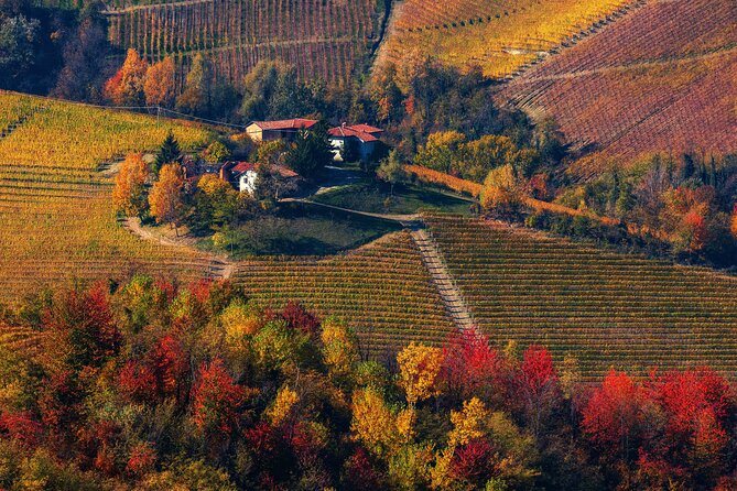 Small-Group Barolo Wine Tasting, Alba & UNESCO Piedmont Hills - Van comfort, group size, and pacing that avoids the herd effect