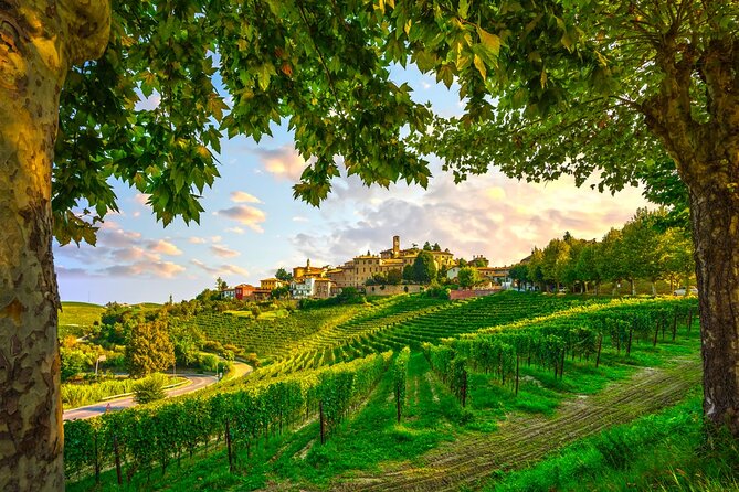 Small-Group Barolo Wine Tasting, Alba & UNESCO Piedmont Hills - Lunch in Alba: plan to eat like a local, not like a tourist