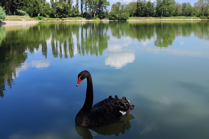 The Milan you don't expect, bike tour with picnic on the lake - Milan’s Parks Are the Real Detour: What This Tour Delivers