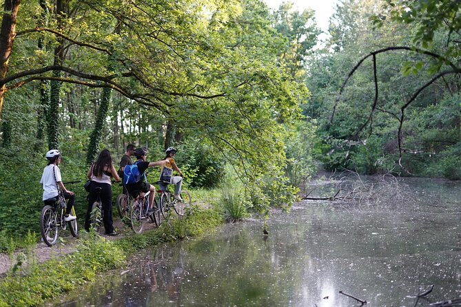 The Milan you don't expect, bike tour with picnic on the lake - The Picnic on the Lake: The Pause That Makes It Feel Like a Day Out