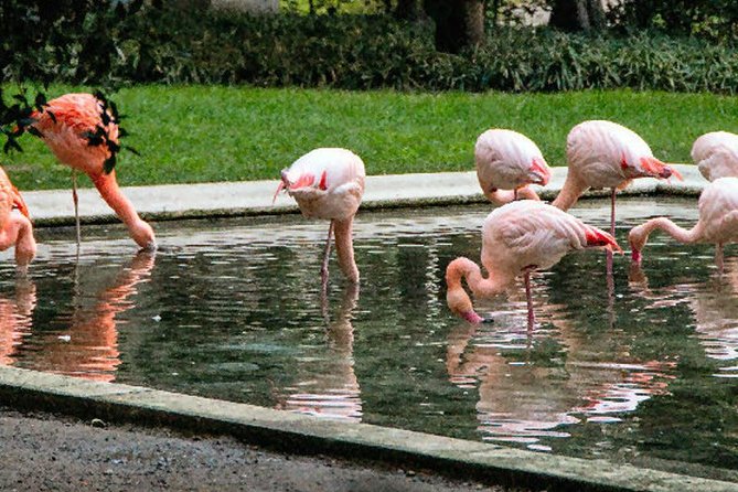The Secret Milan – An Exclusive Stroll Beyond the Beaten Path - Quadrilatero della Moda: Fashion Power, Courtyard Calm