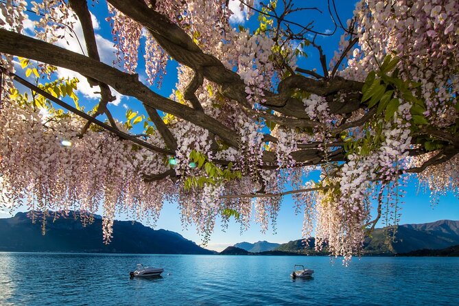 Tour to Como, Bellagio & Lugano from Milan with Lake Como Cruise - Lake Como by boat to Bellagio: why Argegno to Bellagio is the centerpiece