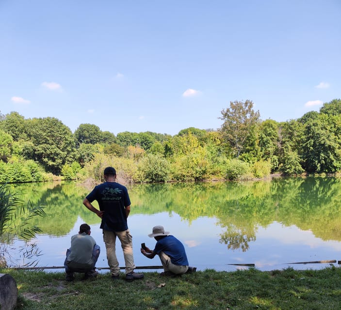 Trekking in the Wood with picnic on the turtles lake - The picnic by the Turtles Lake: where the pace really changes