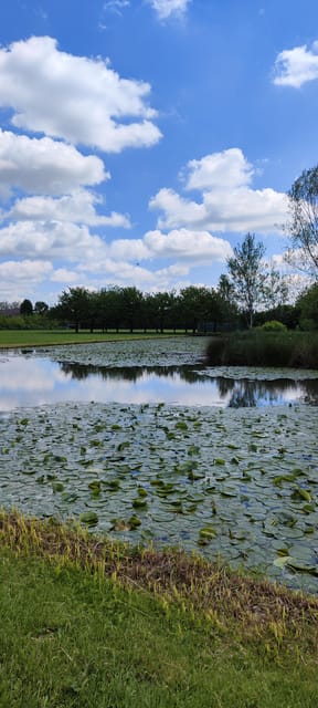Trekking in the Wood with picnic on the turtles lake - Who should book this tour (and who should adjust expectations)