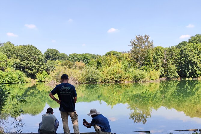 Trekking in the Wood with picnic on the turtles lake - What to bring (and what to skip)