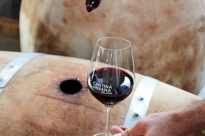 Wine Tasting Experience - Urban Cellar - The vinification explanation: how to make sense of what you taste