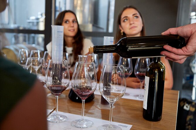 Wine Tasting Experience - Urban Cellar - Inside the production area: steel tanks, amphora, and barrique