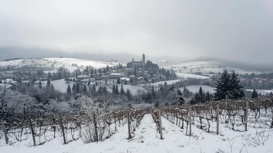 Winter Games Vineyards Milan’s Perfect Wine Tasting - Key highlights I’d plan around