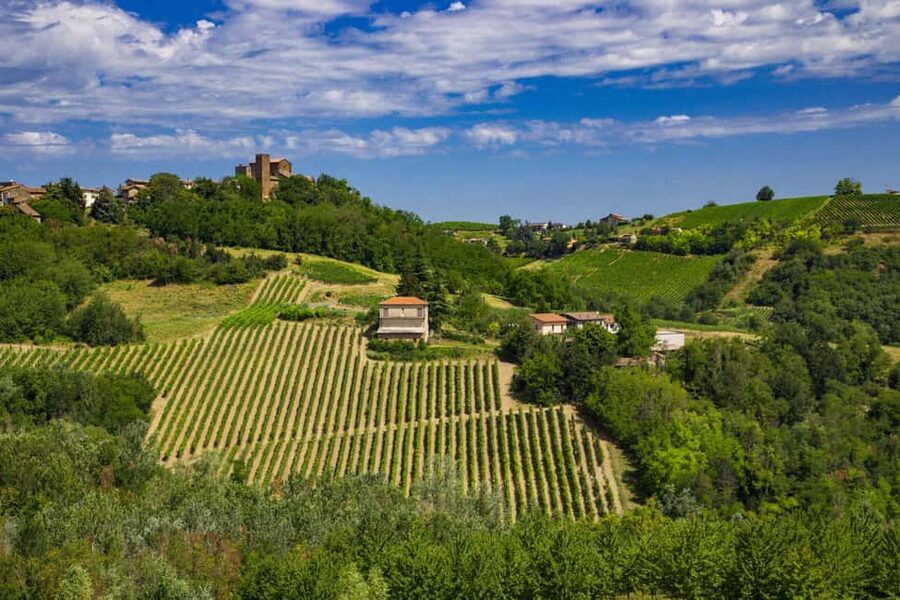 Winter Games Vineyards Milan’s Perfect Wine Tasting - The 45-minute train ride: quick travel, big mood shift
